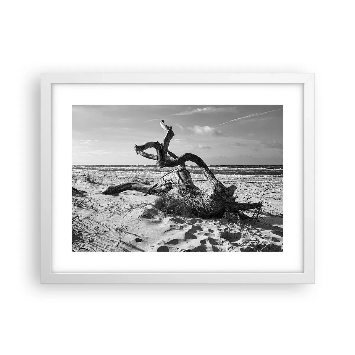 Plagát v bielom ráme - Morská socha - 40x30 cm