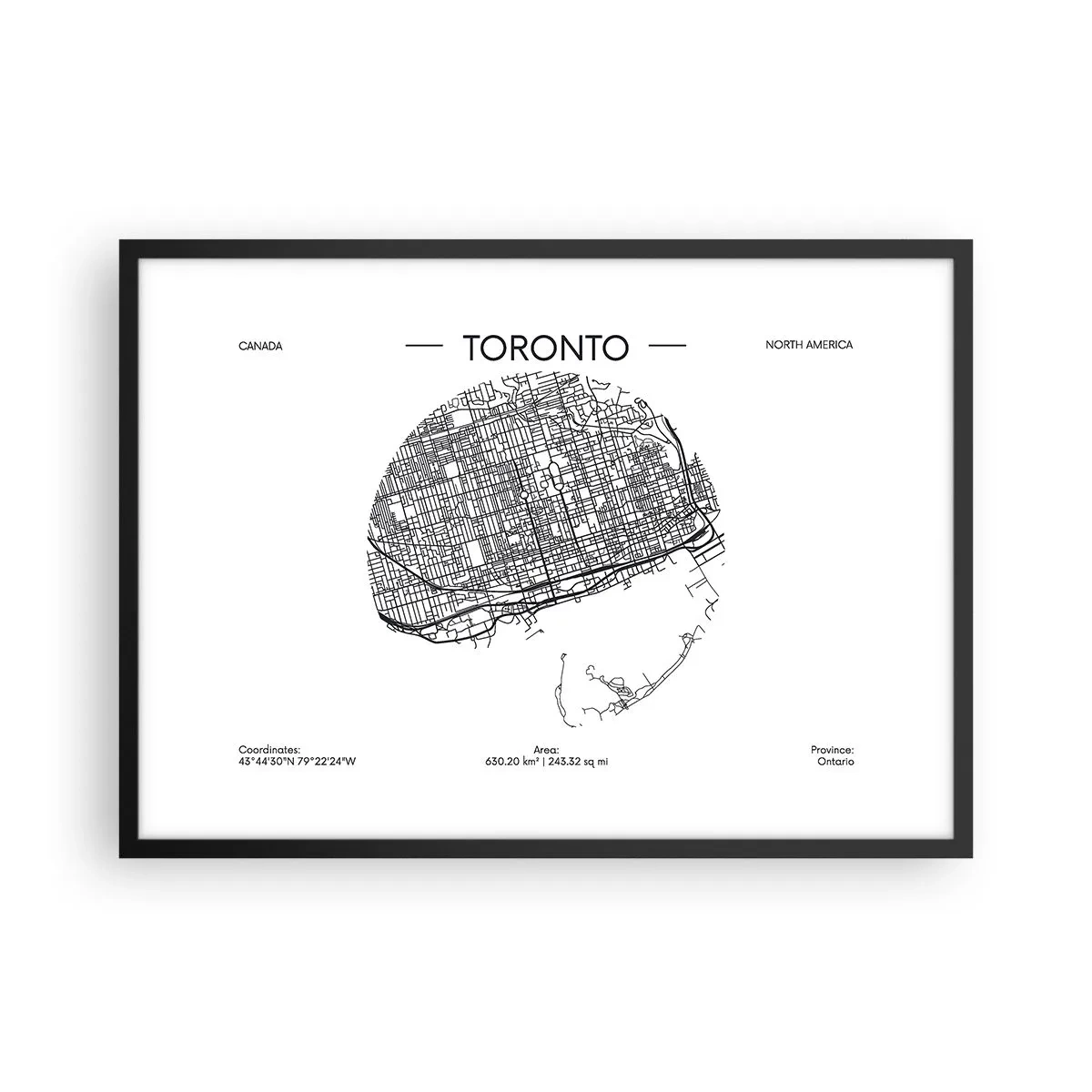 Plagát v čiernom ráme - Anatómia Toronta - 70x50 cm
