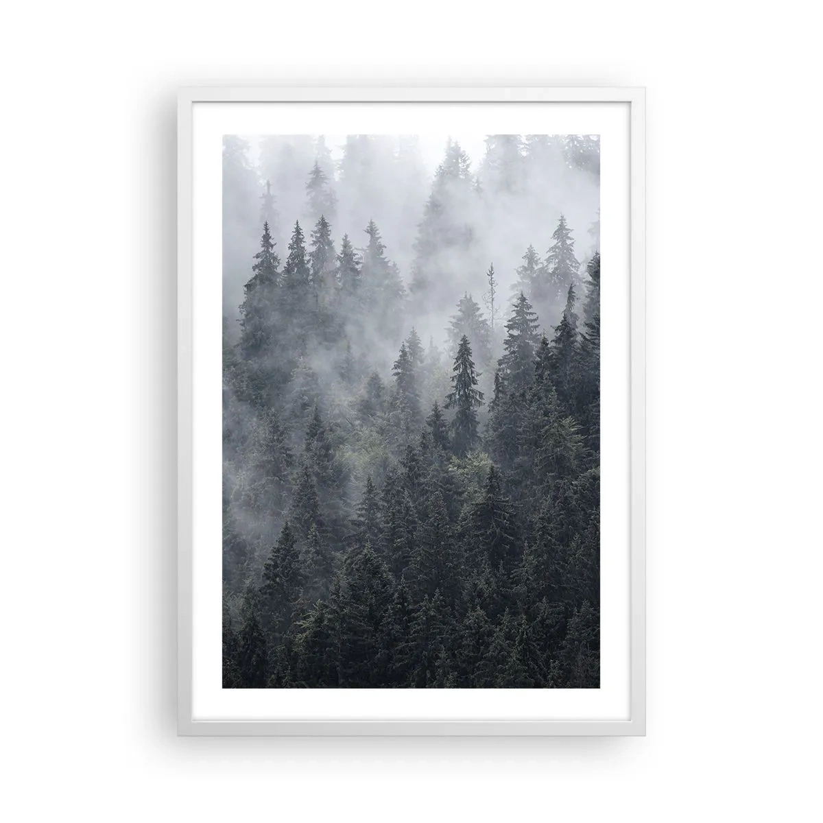 Plagát v bielom ráme - Lesné svitania - 50x70 cm
