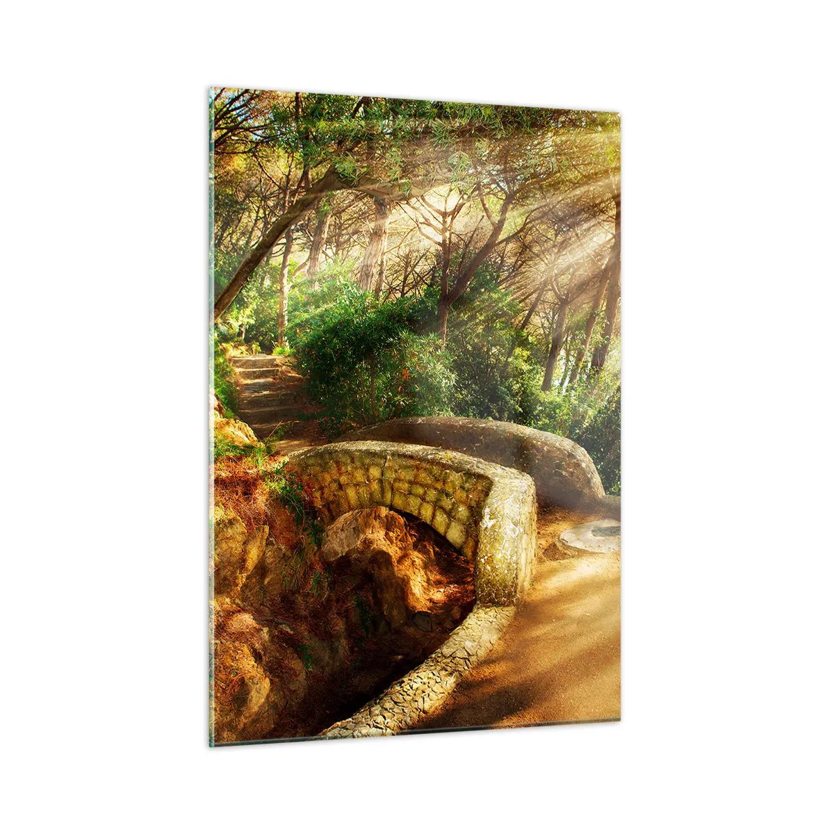Obraz na skle - Priamo z mostíka v rozprávkovom lese - 50x70 cm