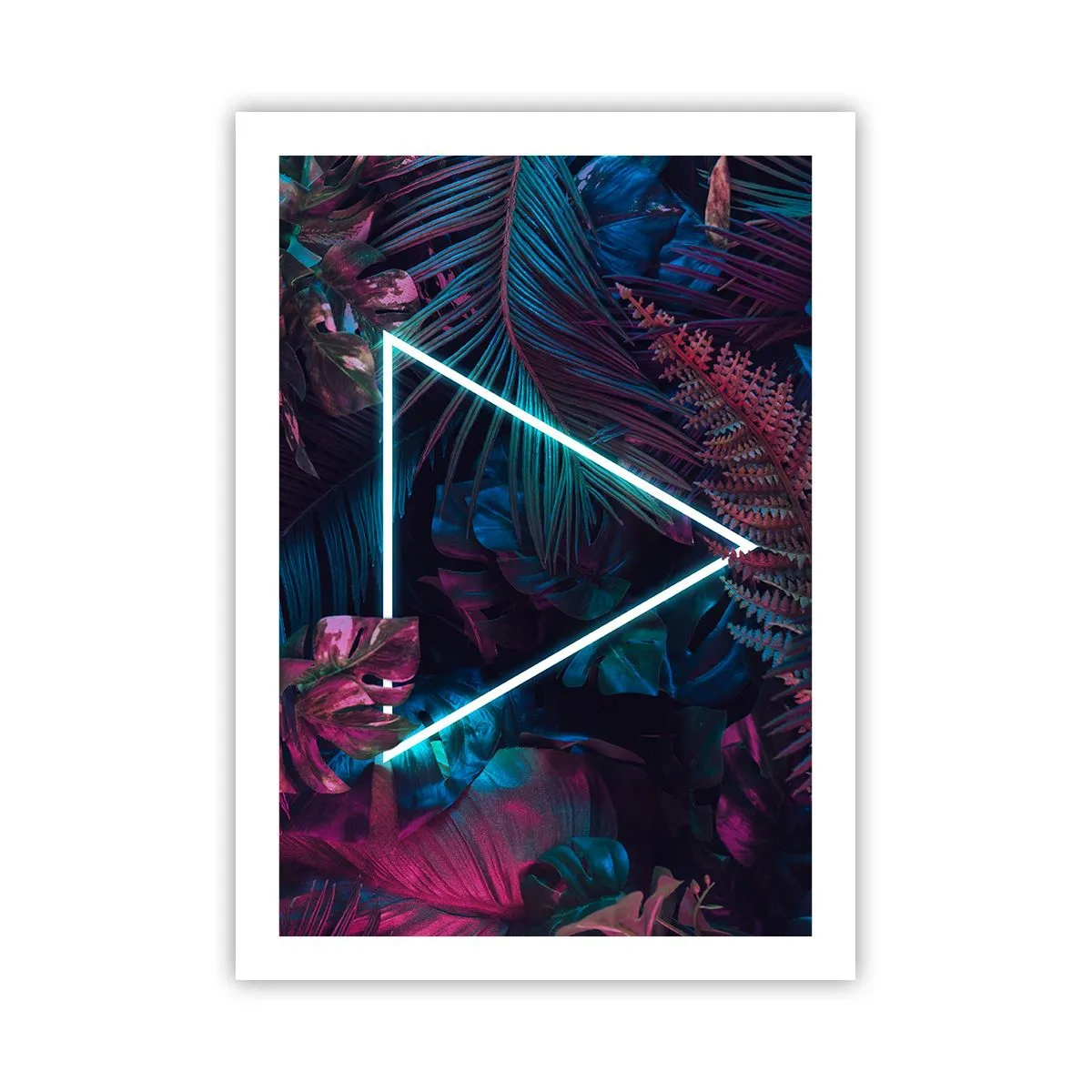 Plagát - Záhrada v disco štýle - 50x70 cm