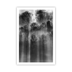 Plagát - V lúčoch svetla - 61x91 cm