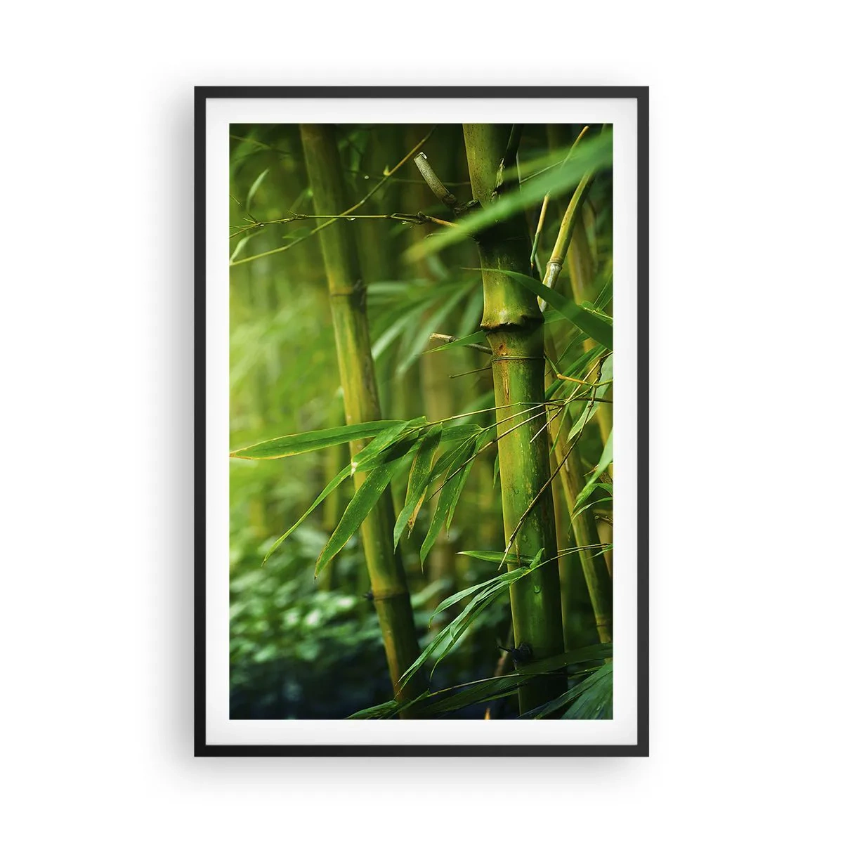 Plagát v čiernom ráme - Poznať samotnú zeleň - 61x91 cm