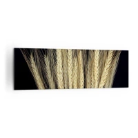 160x50 cm | Panoramatický