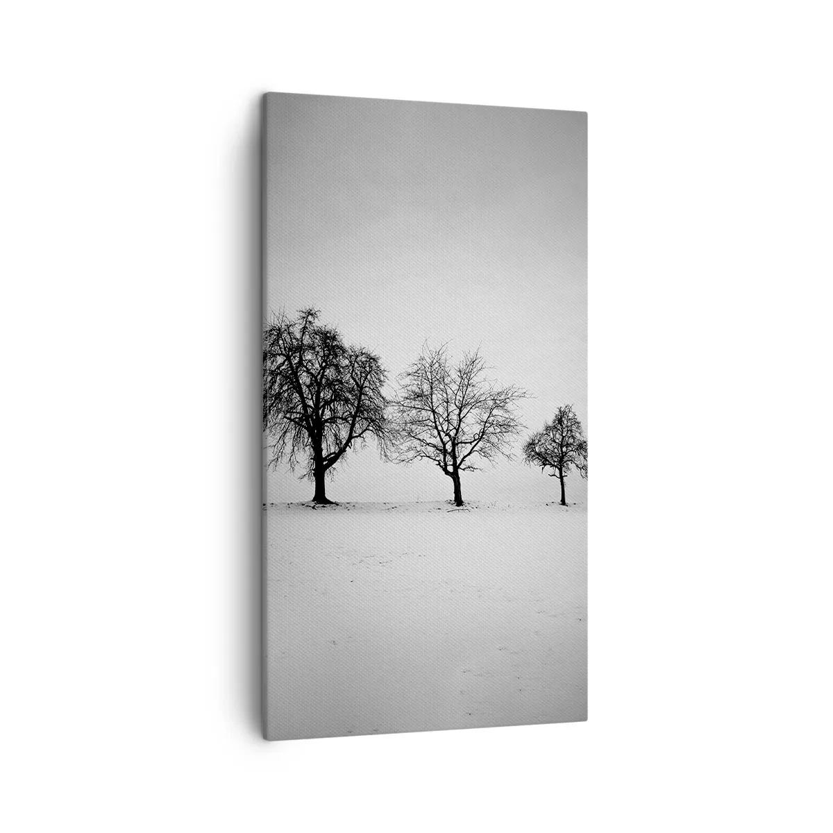 Obraz na plátne - O čom sníva? - 45x80 cm