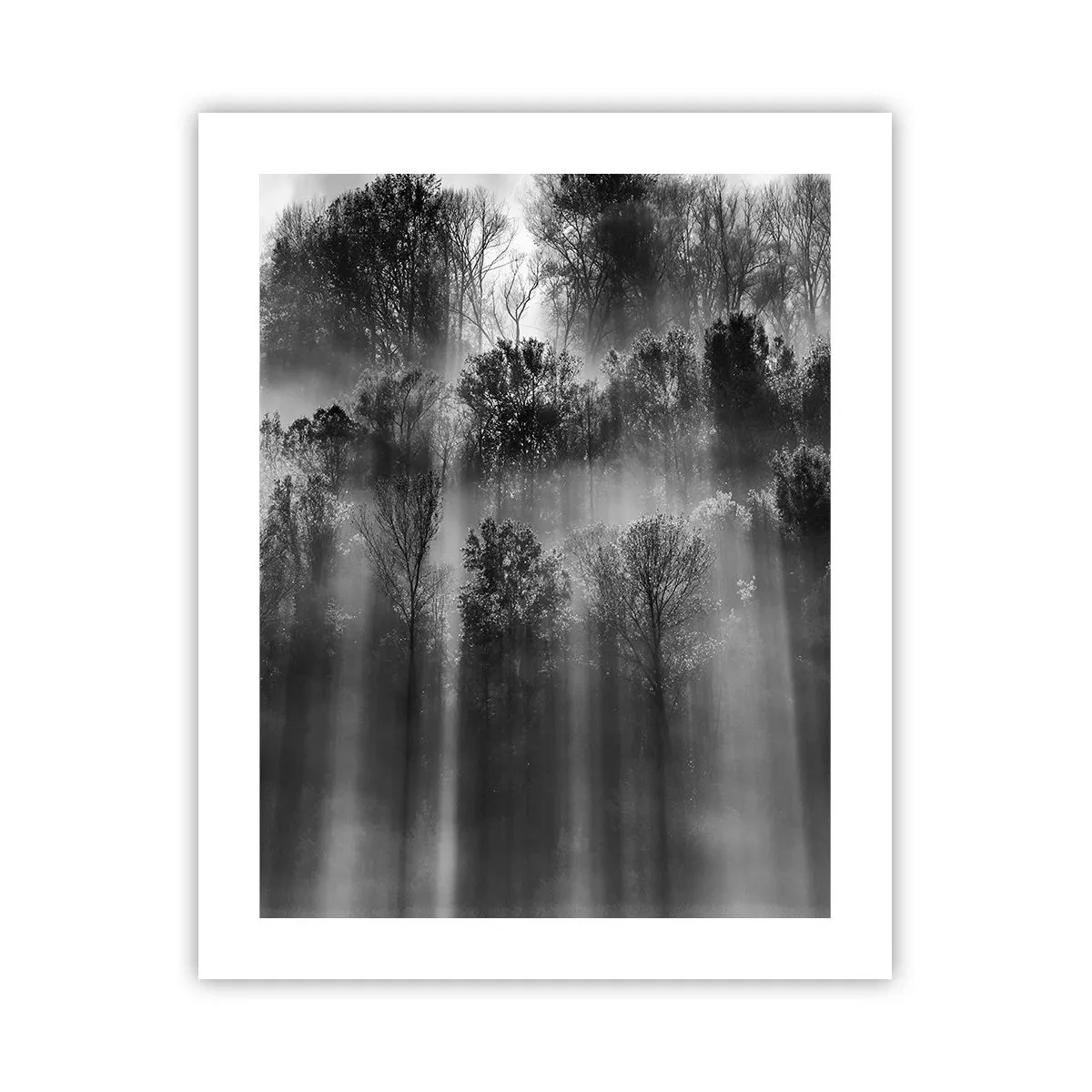 Plagát - V lúčoch svetla - 40x50 cm