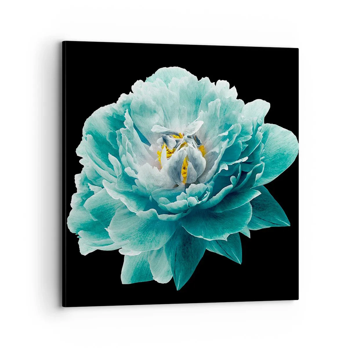 Obraz na plátne - Modré a zlaté okvetné lístky - 70x70 cm