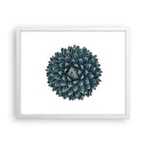 Plagát v bielom ráme - Hviezda púšte - 50x40 cm