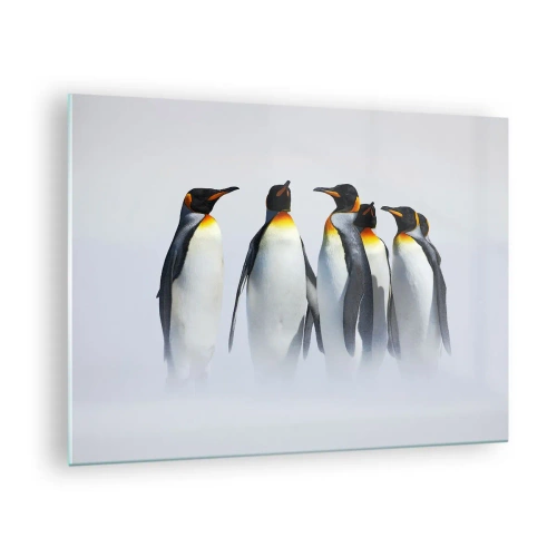 Obraz na skle - Skupina tučniakov v zimnej scenérii - 70x50cm - Stretnutie vo večerných róbach - Moderná nástenná dekorácia do obývacej izby a spálne ARTTOR