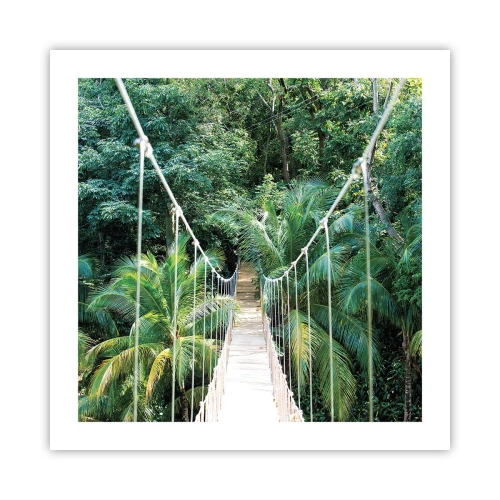 Plagát - Welcome to the jungle! - 50x50 cm