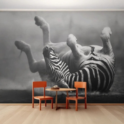 Fototapeta Premium Sand - Je to na roztrhanie - Zvieratá, Rebrá, Príroda - 350x256 cm