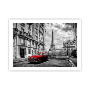 Plagát - Dravec v meste - 70x50 cm