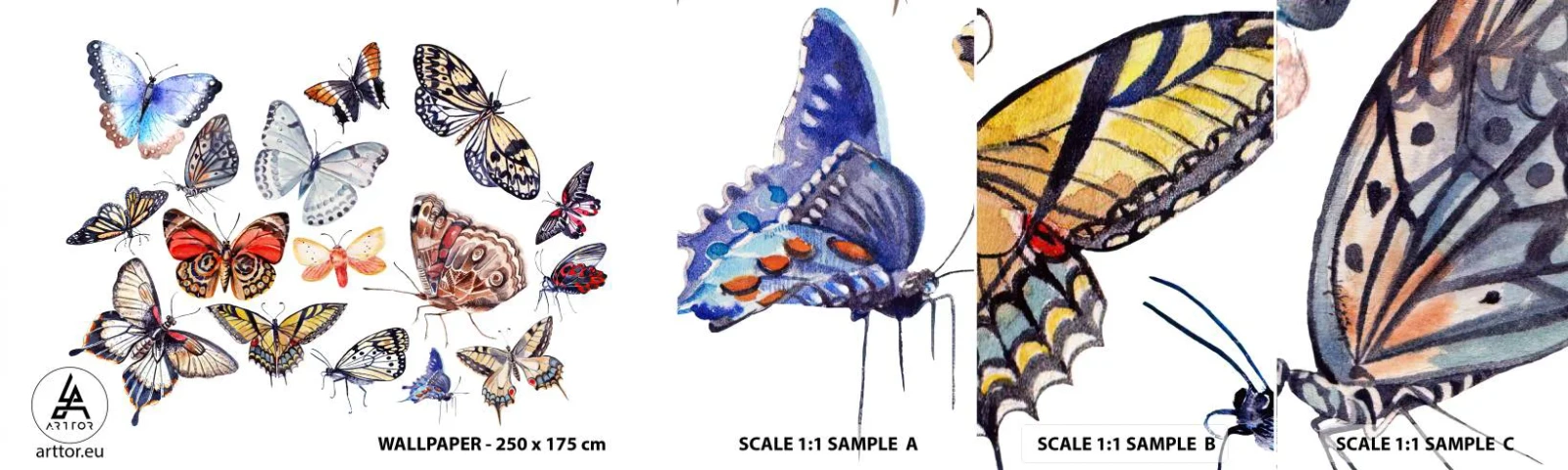 Vzorka Fototapeta Standard Eco - Čipkový, farebný roj - Pre deti, Farebné motýle, Grafika - 100x30 cm