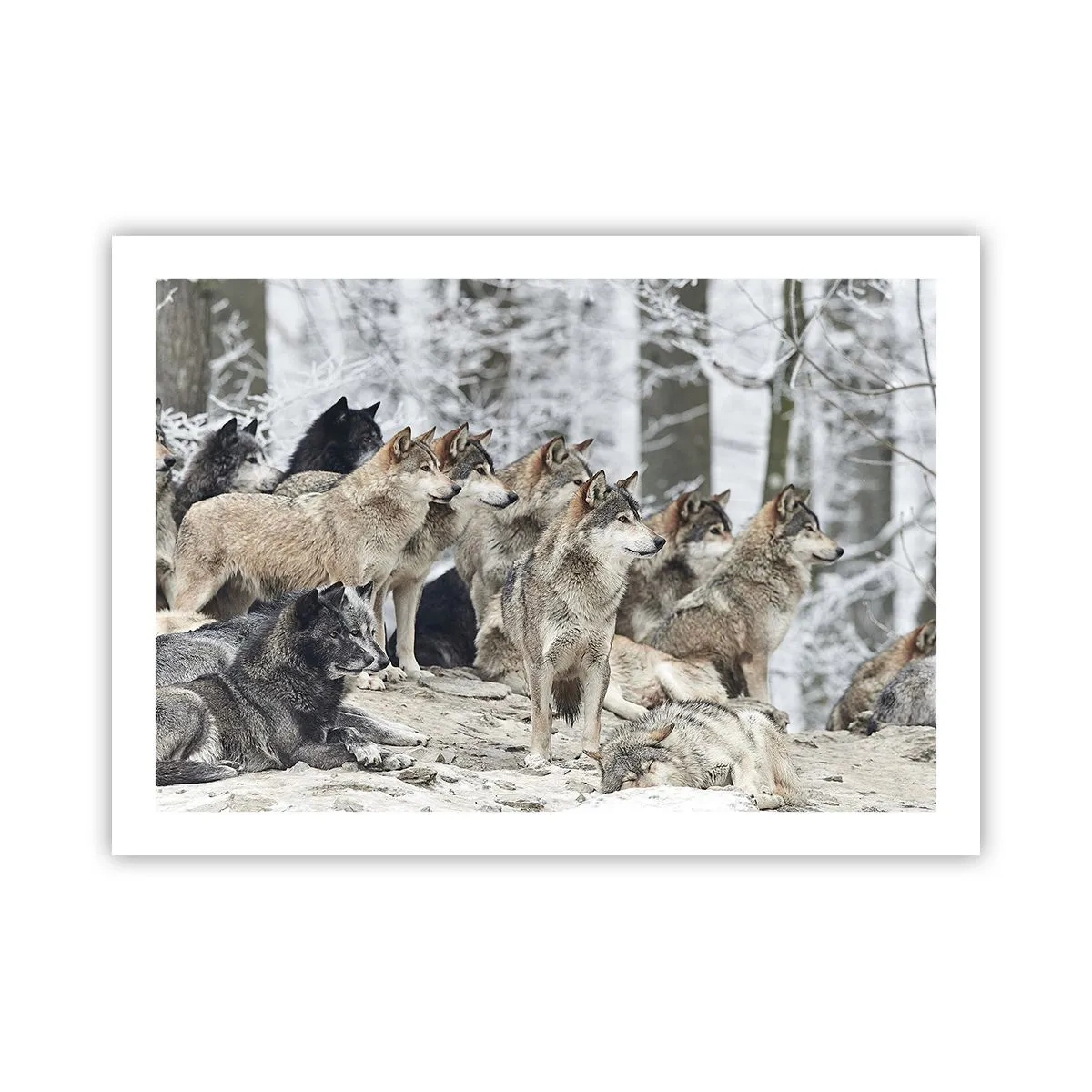 Plagát - Rodina a priatelia - 70x50 cm