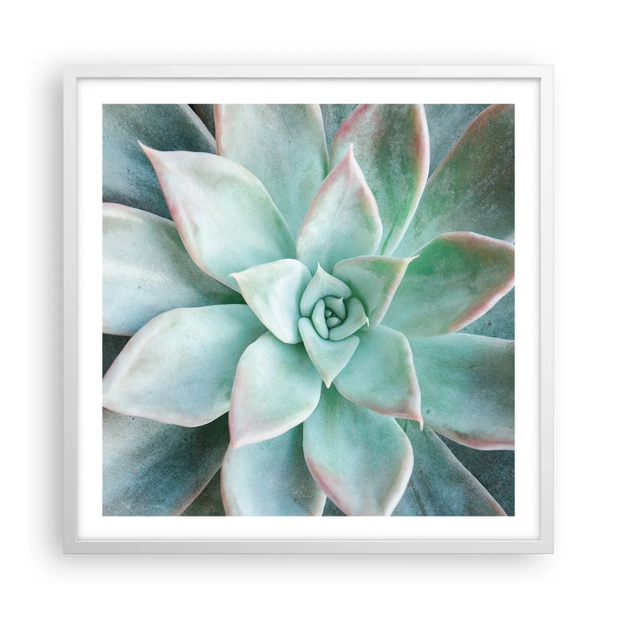 Plagát v bielom ráme - Srdce púšte - 60x60 cm