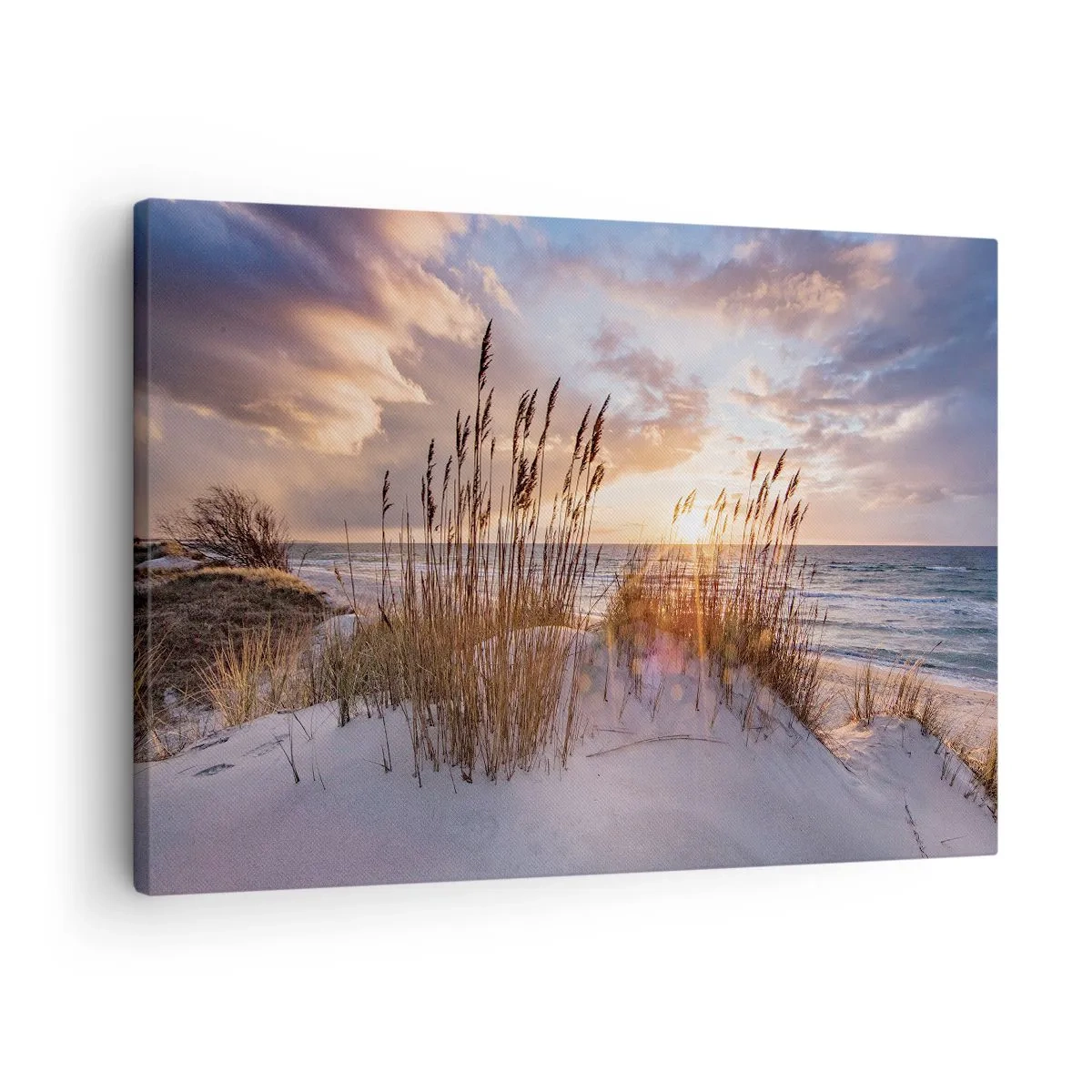 Obraz na plátne - Duny s trávami na pozadí zapadajúceho slnka - 70x50cm - Rozlúčka so slnkom a vetrom - Moderná nástenná dekorácia do obývacej izby a spálne ARTTOR