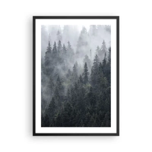 Plagát v čiernom ráme - Hmlistý les s vysokými ihličnatými stromami - 50x70cm - Lesné svitania - Moderná nástenná dekorácia do obývacej izby a spálne ARTTOR