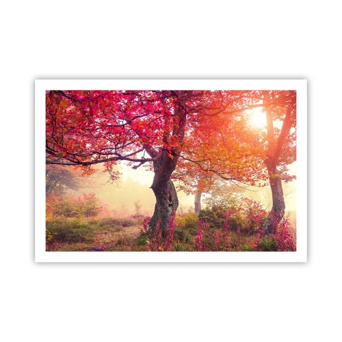 Plagát - Šialenstvo rozkvetu - 91x61 cm