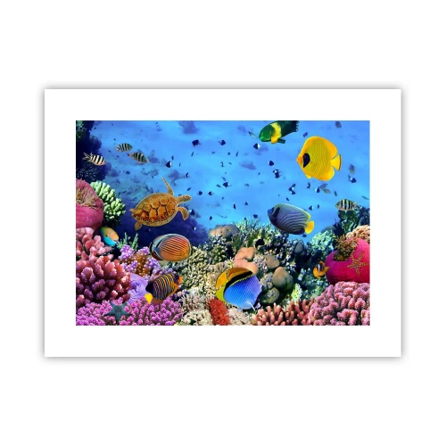 Plagát - Čo vieme o živote… - 40x30 cm