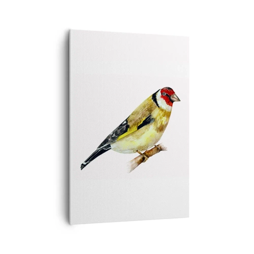 Obraz na plátne - Vtáčí portrét - 70x100 cm