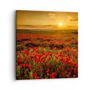 Obraz na plátne - Medzi vlnami šumiacich lúk, medzi záplavou kvetov - 40x40 cm