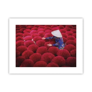 Plagát - Na ryžovom poli - 40x30 cm