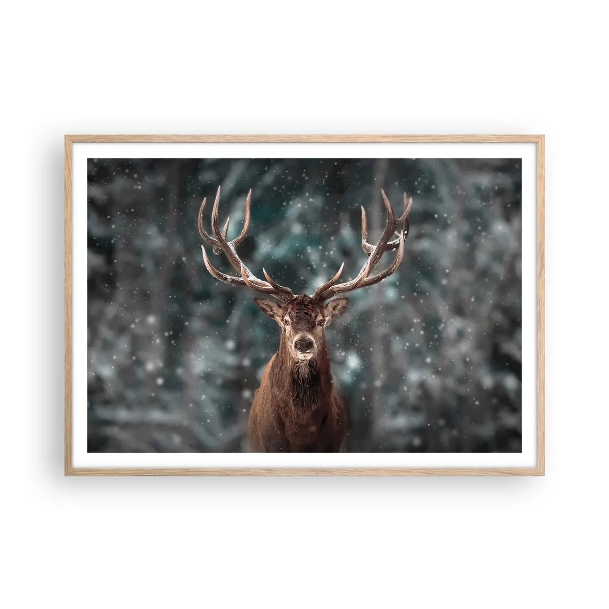 Plagát v ráme zo svetlého duba - Skutočný kráľ lesa - 100x70 cm