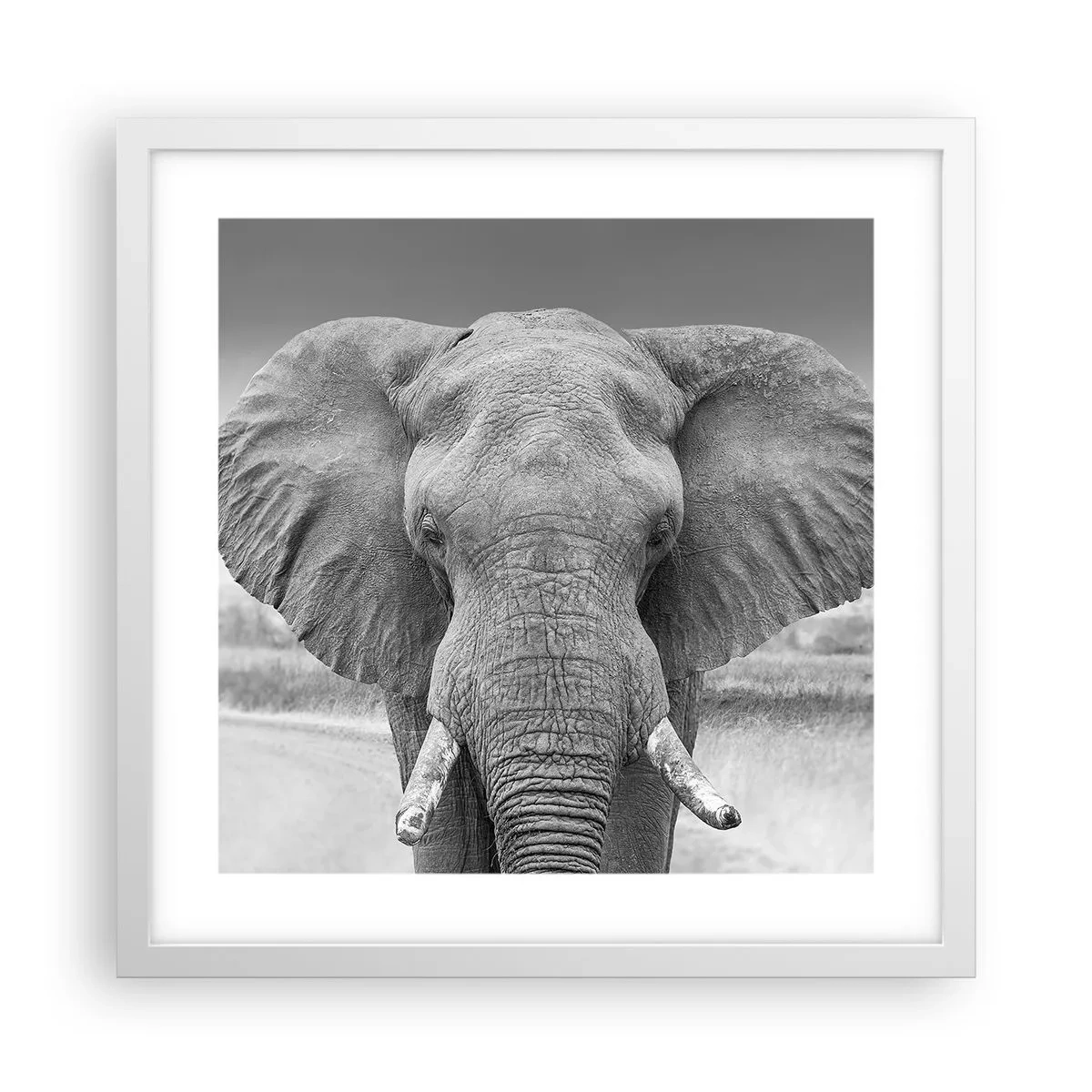 Plagát v bielom ráme - Vitajte v mojom svete - 40x40 cm