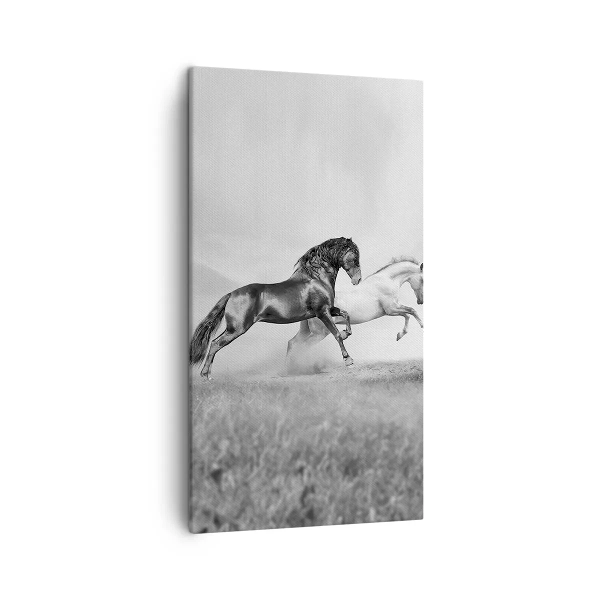 Obraz na plátne - Anjeli a démoni - 45x80 cm