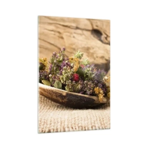 Obraz na skle - Farebné kvety a voňavé bylinky - 80x120 cm