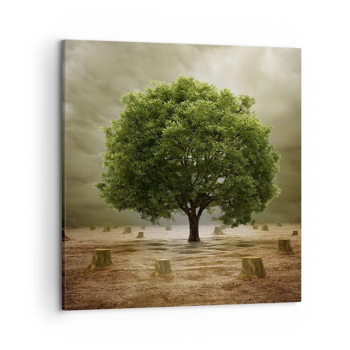 Obraz na plátne - Celá nádej - 50x50 cm