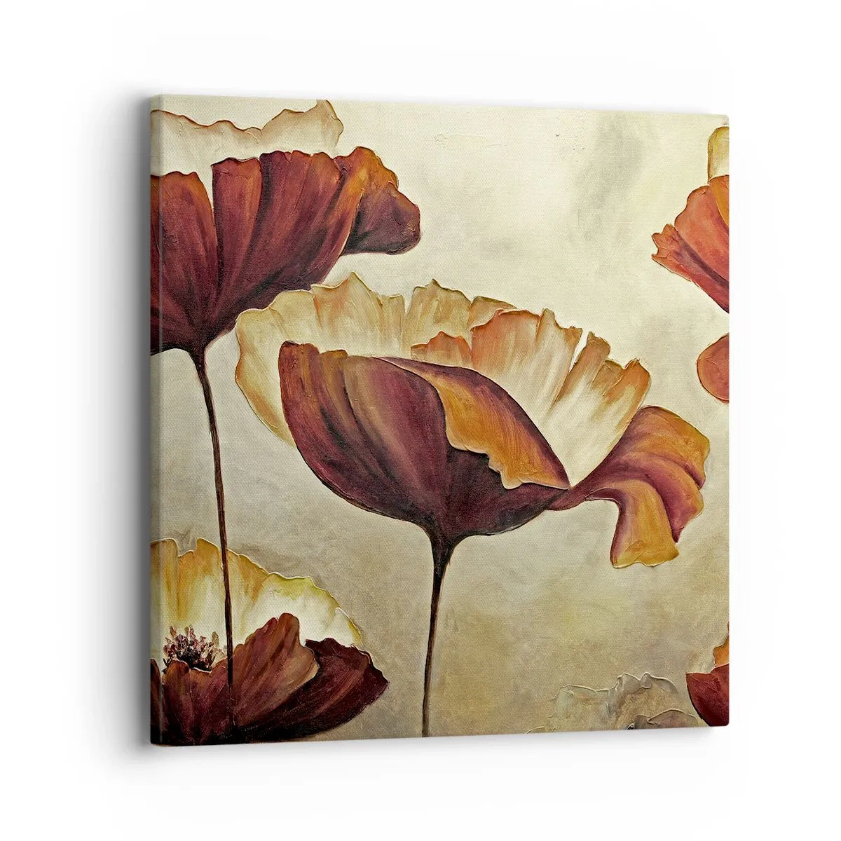 Obraz na plátne - Lán lúky - 40x40 cm