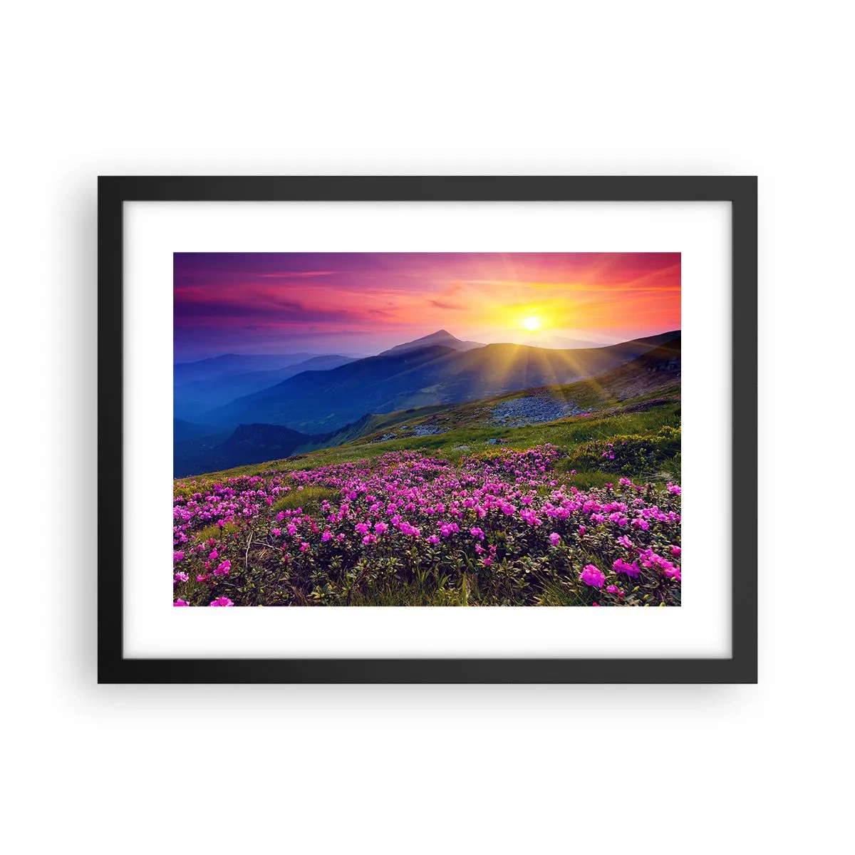 Plagát v čiernom ráme - …A okolo vonia kosodrevina a voňajú byliny - 40x30 cm