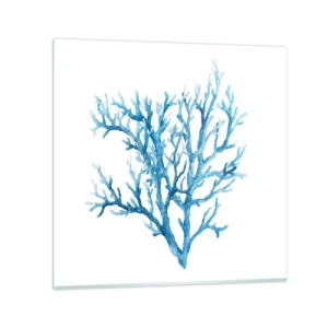 Obraz na skle - Morský filigrán - 60x60 cm