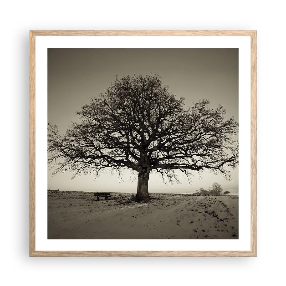 Plagát v ráme zo svetlého duba - Odtiaľ až do večnosti - 60x60 cm