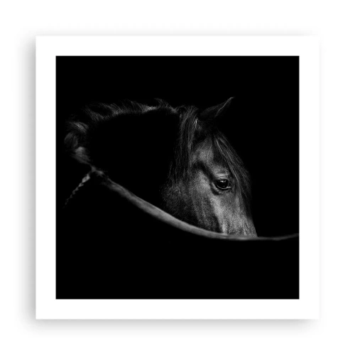 Plagát - Čierny knieža - 50x50 cm