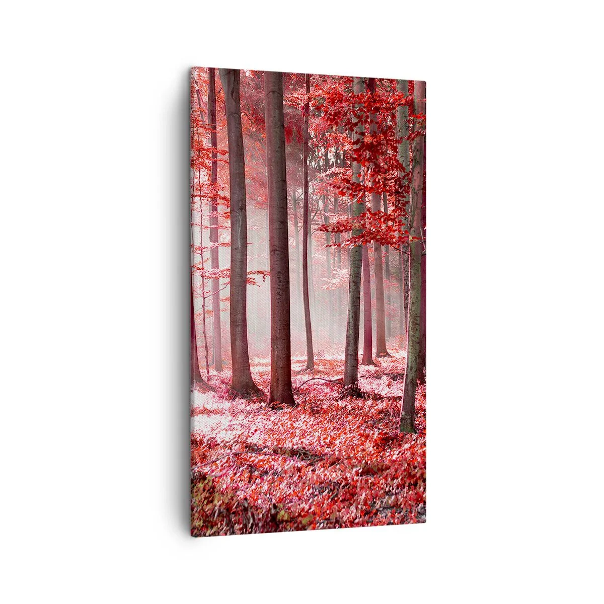 Obraz na plátne - Červená je rovnako krásna - 45x80 cm