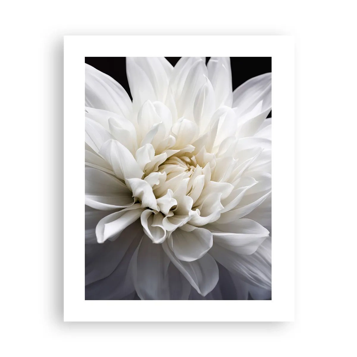 Plagát - Ráno s nevestou - 40x50 cm