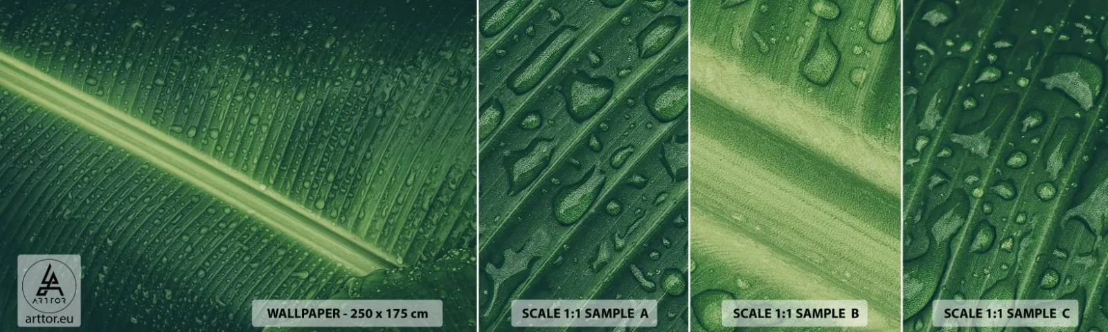 Vzorka samolepiacej fototapety Deluxe Sticker - Štruktúra zelenej - Zelený list, Tropická rastlina, Kus - 100x30 cm