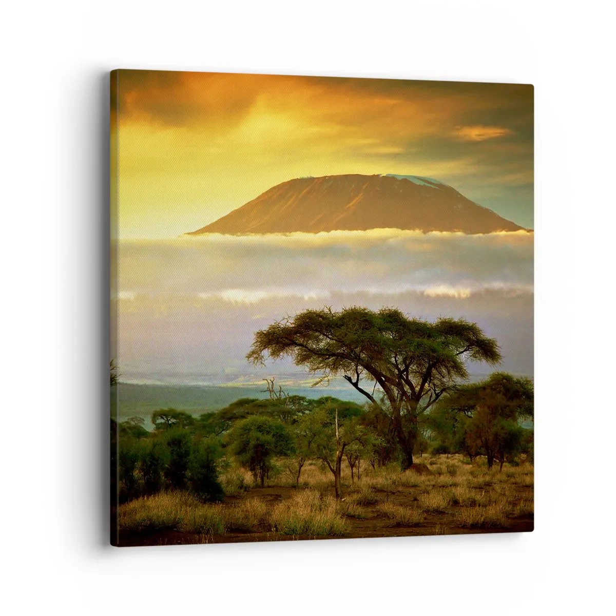 Obraz na plátne - Sen cestovateľa - 40x40 cm