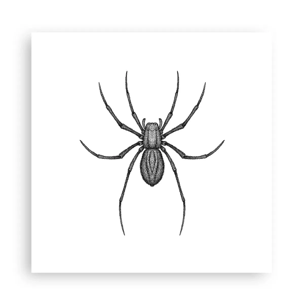 Plagát - Znepokojivá presnosť - 30x30 cm