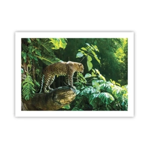 Plagát - Na lov? - 70x50 cm