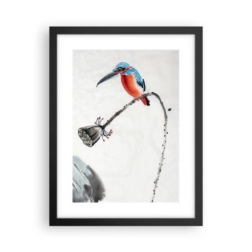 Plagát v čiernom ráme - Život lúky - 30x40 cm