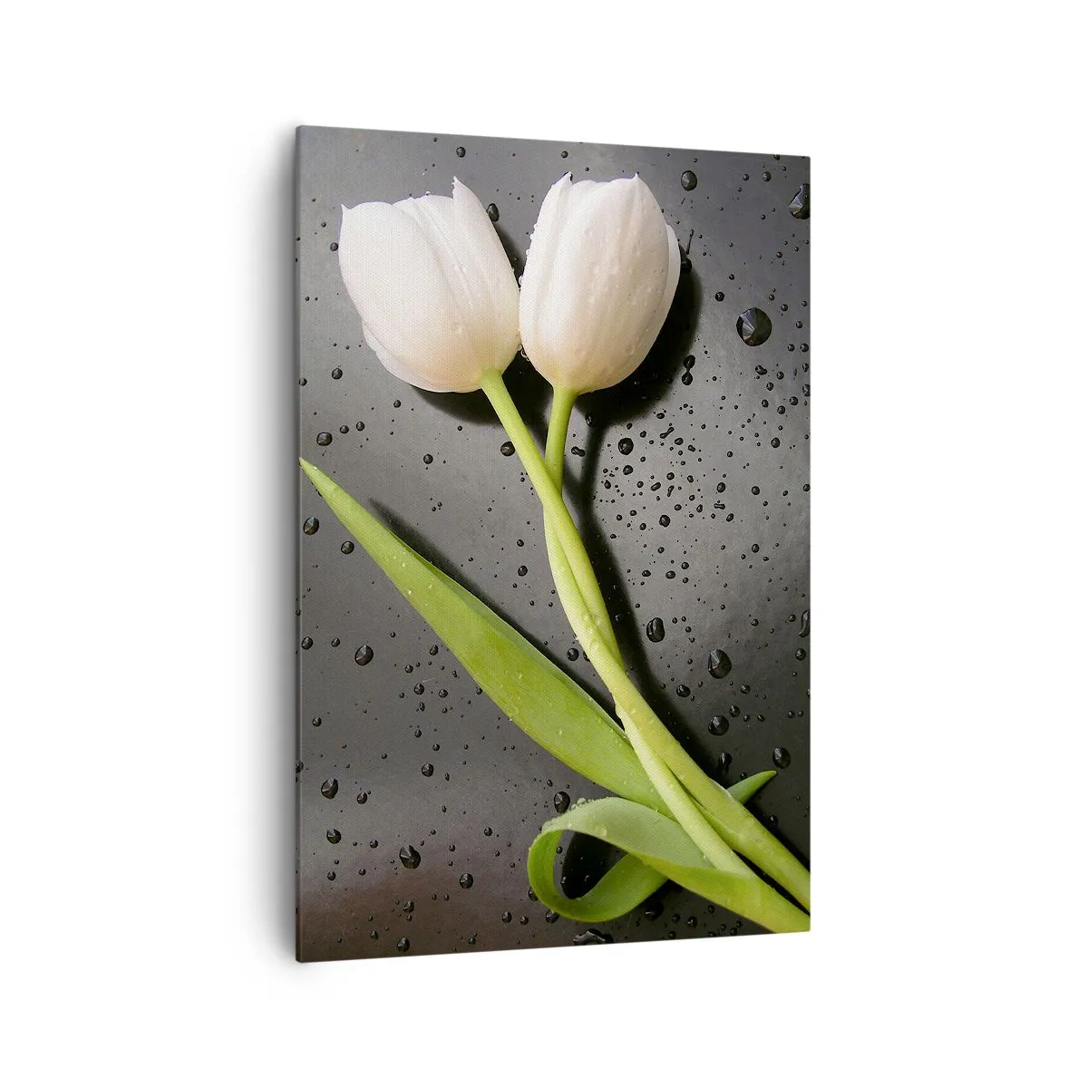 Obraz na plátne - Jarná väzba - 70x100 cm