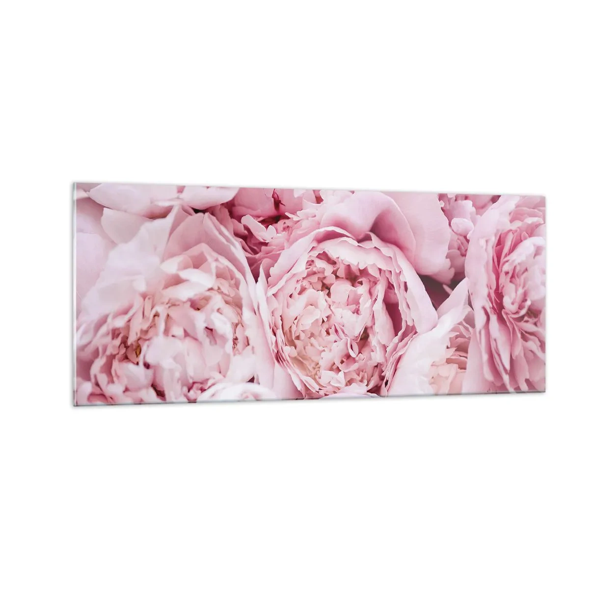 Obraz na skle - Pritúlené a voňavé - 100x40 cm