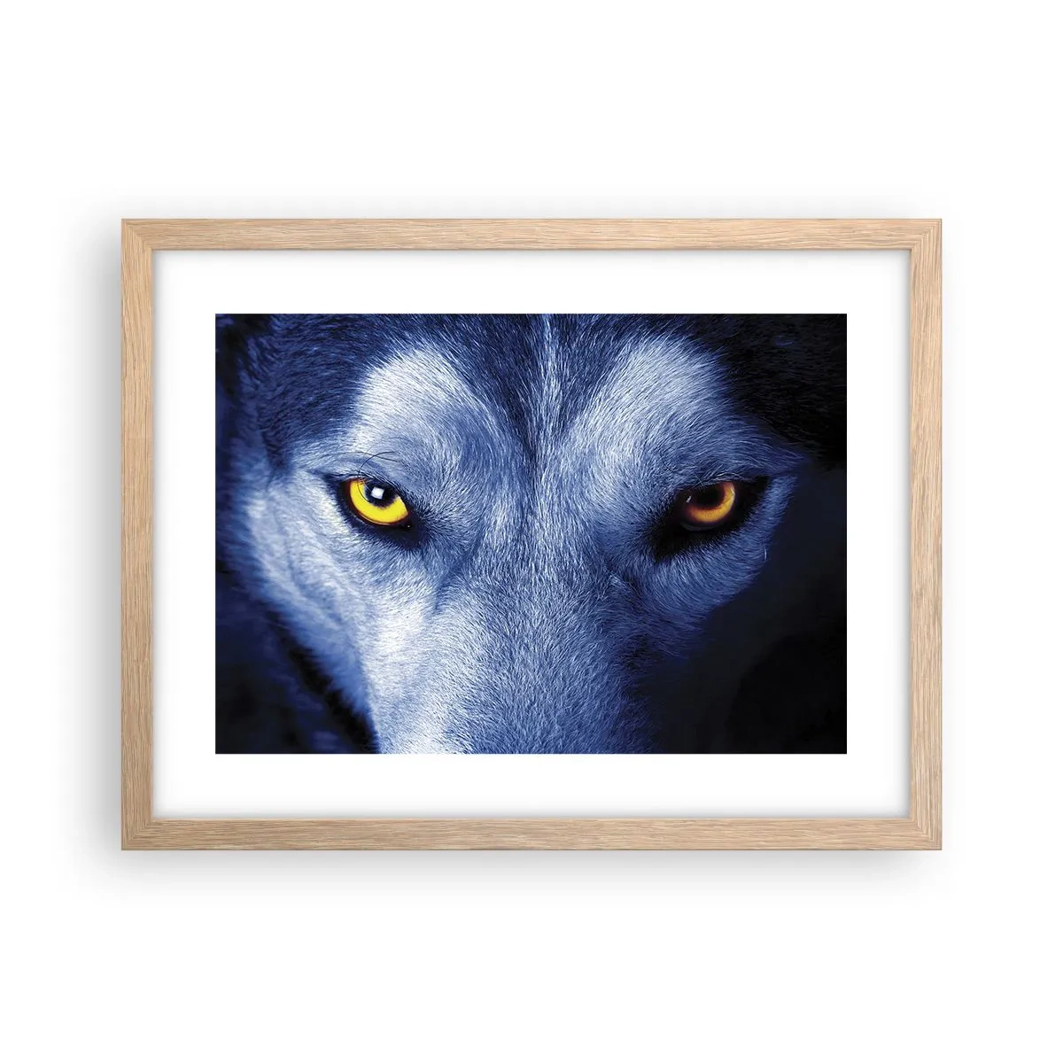 Plagát v ráme zo svetlého duba - Fascinujúci pohľad - 40x30 cm