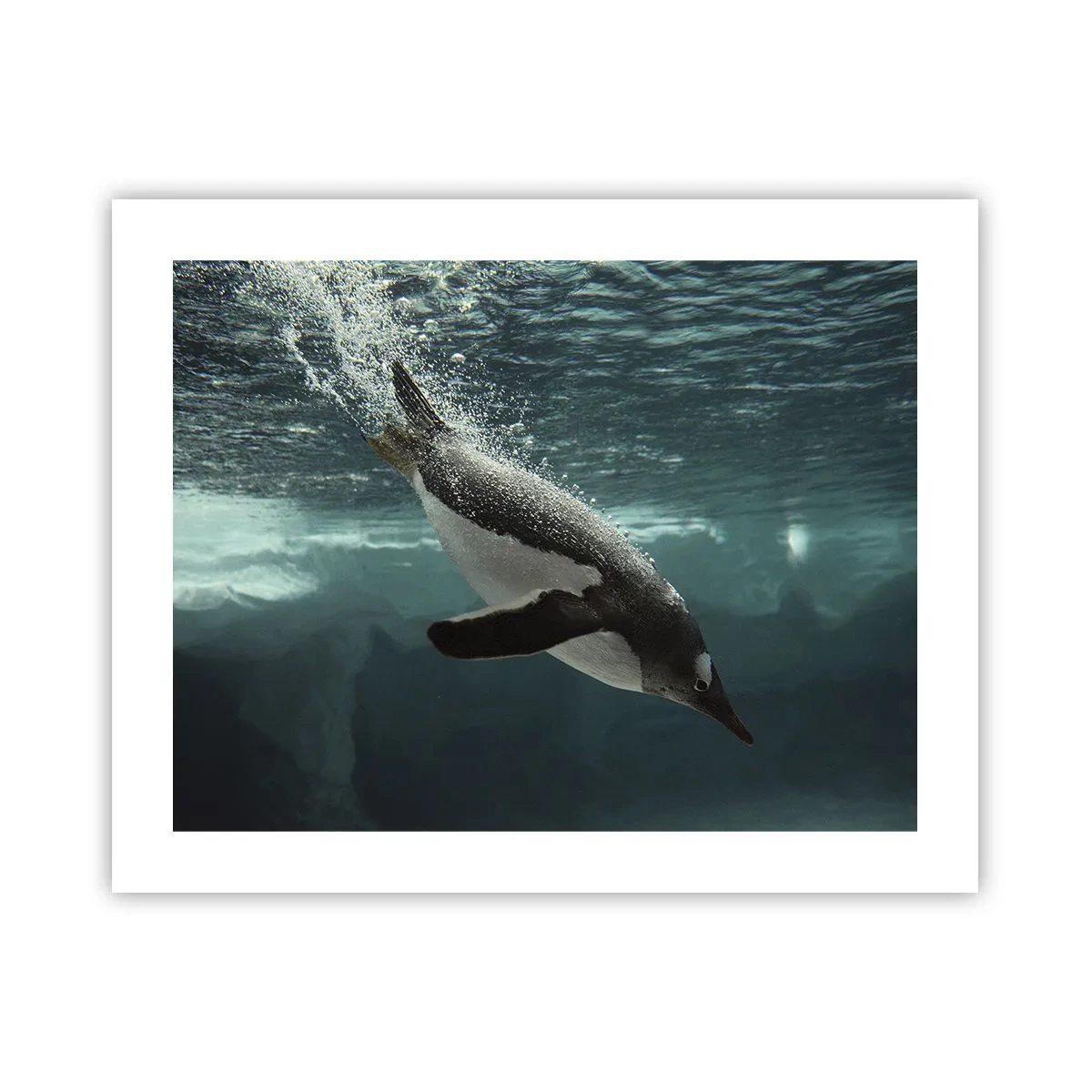 Plagát - Vitajte v mojom svete - 50x40 cm