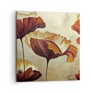 Obraz na plátne - Lán lúky - 70x70 cm