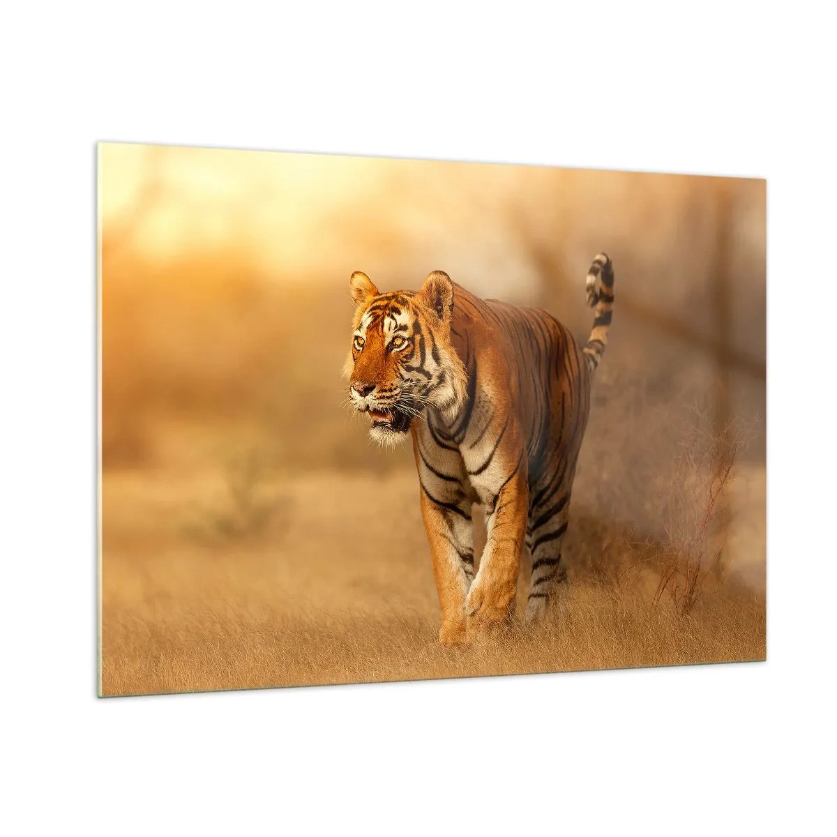 Obraz na skle - Pred útokom - 100x70 cm