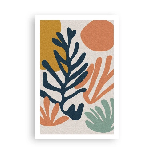 Plagát - Koralové more - 61x91 cm